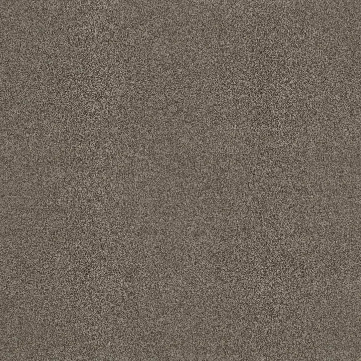 Anderson Tuftex Terra Nova — Arrowhead · ZZ252-00536 — flooring selection with LeviArs Design & Remodeling