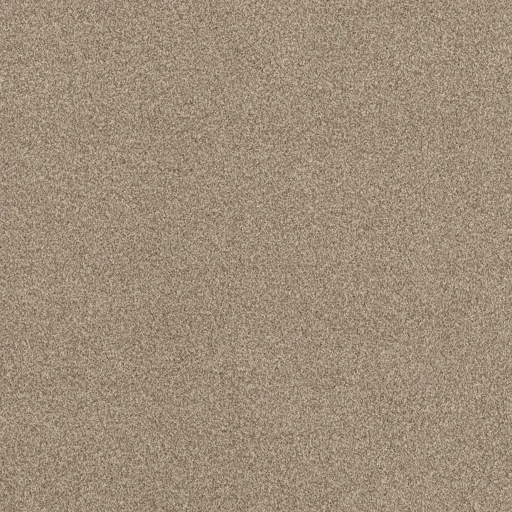 Anderson Tuftex Terra Nova — Canvas · ZZ252-00233 — flooring selection with LeviArs Design & Remodeling