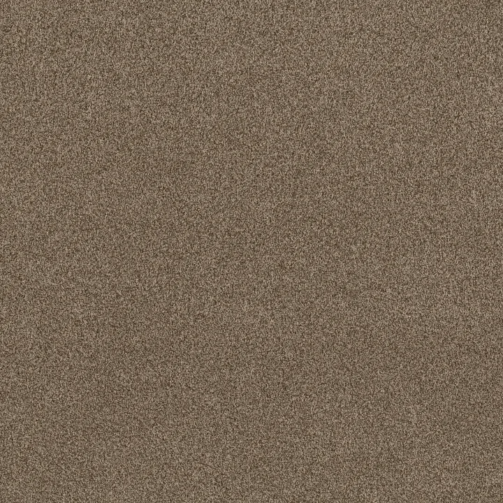 Anderson Tuftex Terra Nova — Joshua Tree · ZZ252-00716 — flooring selection with LeviArs Design & Remodeling