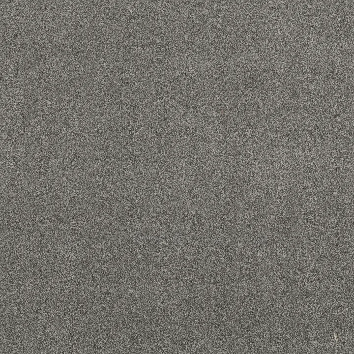Anderson Tuftex Terra Nova — Lunar · ZZ252-00545 — flooring selection with LeviArs Design & Remodeling