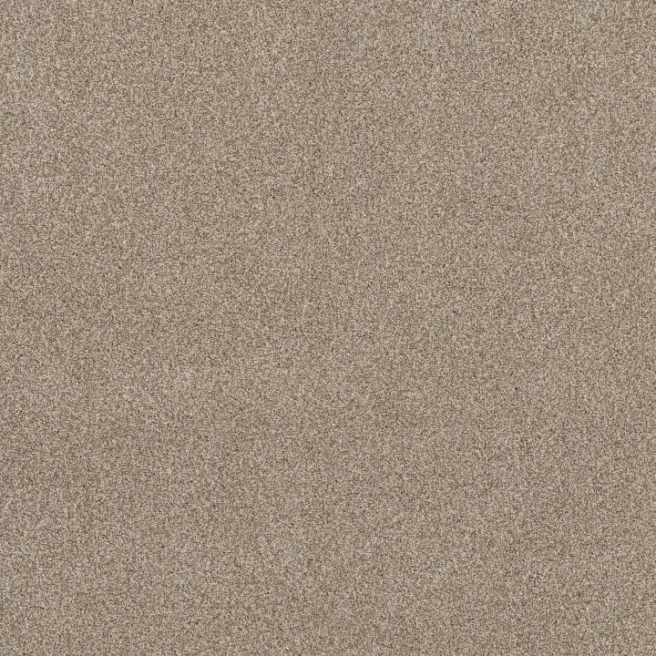 Anderson Tuftex Terra Nova — Meditation · ZZ252-00712 — flooring selection with LeviArs Design & Remodeling