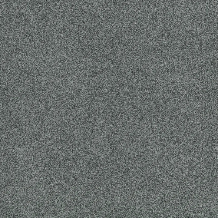 Anderson Tuftex Terra Nova — Norwegian · ZZ252-00455 — flooring selection with LeviArs Design & Remodeling