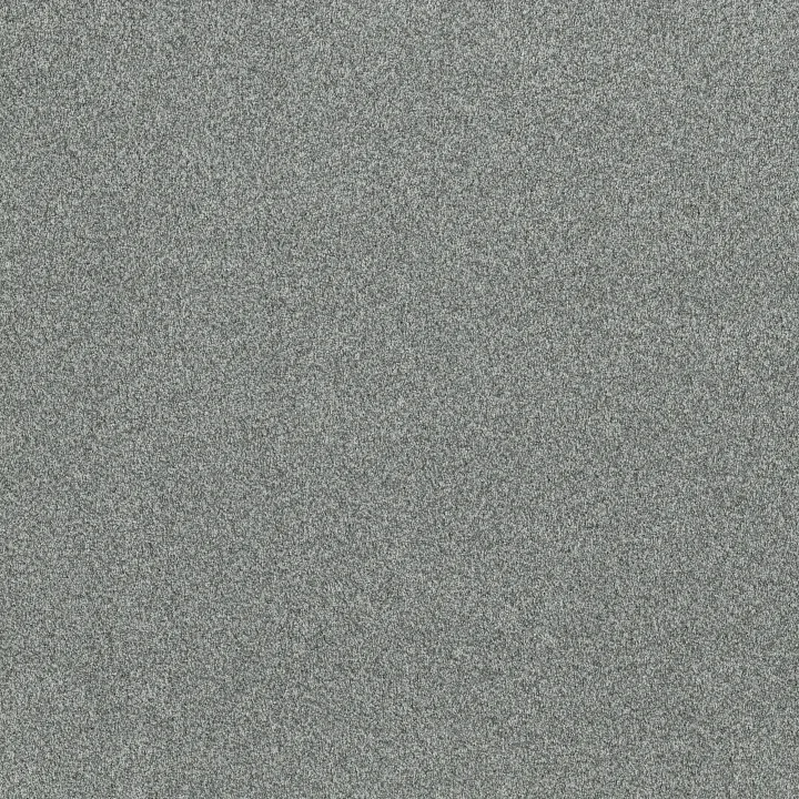 Anderson Tuftex Terra Nova — Oceanic · ZZ252-00452 — flooring selection with LeviArs Design & Remodeling
