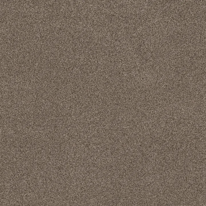 Anderson Tuftex Terra Nova — Palm Desert · ZZ252-00756 — flooring selection with LeviArs Design & Remodeling