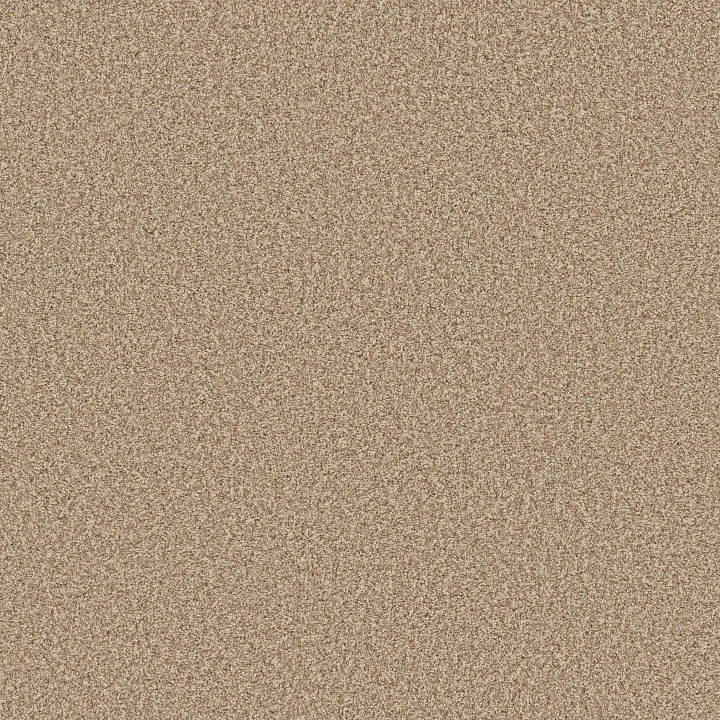 Anderson Tuftex Terra Nova — Potter'S Clay · ZZ252-00623 — flooring selection with LeviArs Design & Remodeling