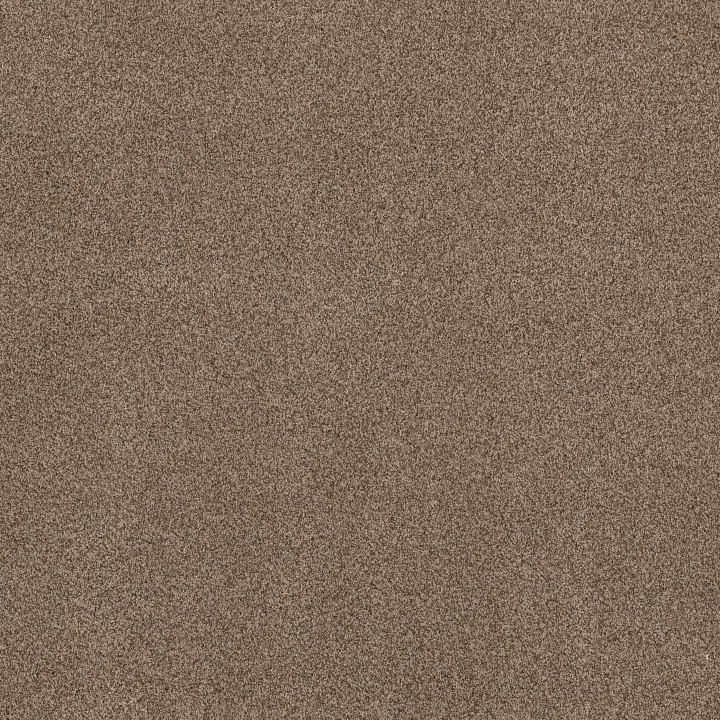 Anderson Tuftex Terra Nova — Ranch · ZZ252-00765 — flooring selection with LeviArs Design & Remodeling