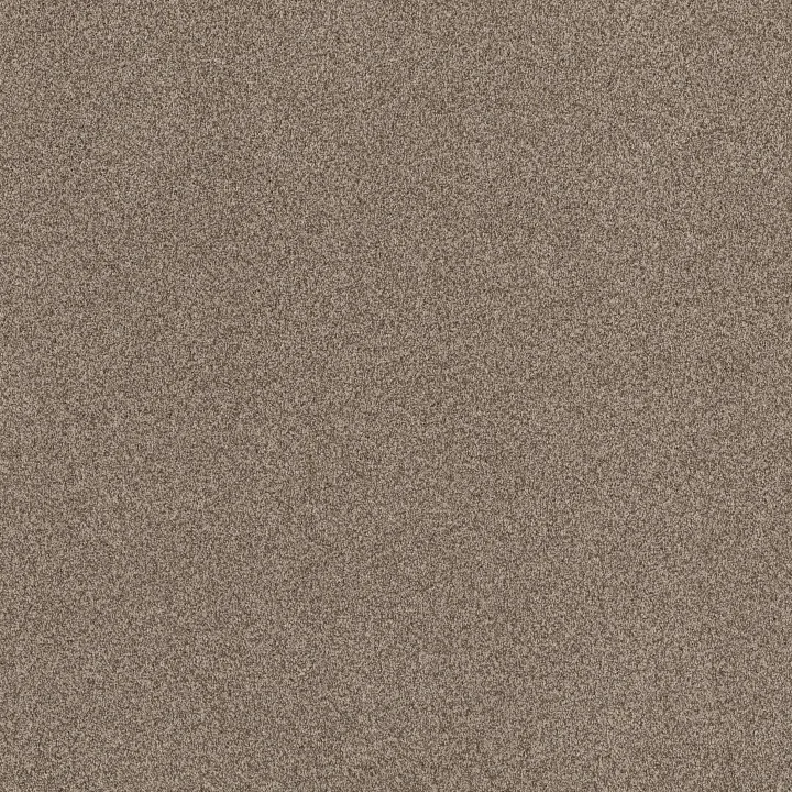 Anderson Tuftex Terra Nova — Roasted · ZZ252-00714 — flooring selection with LeviArs Design & Remodeling
