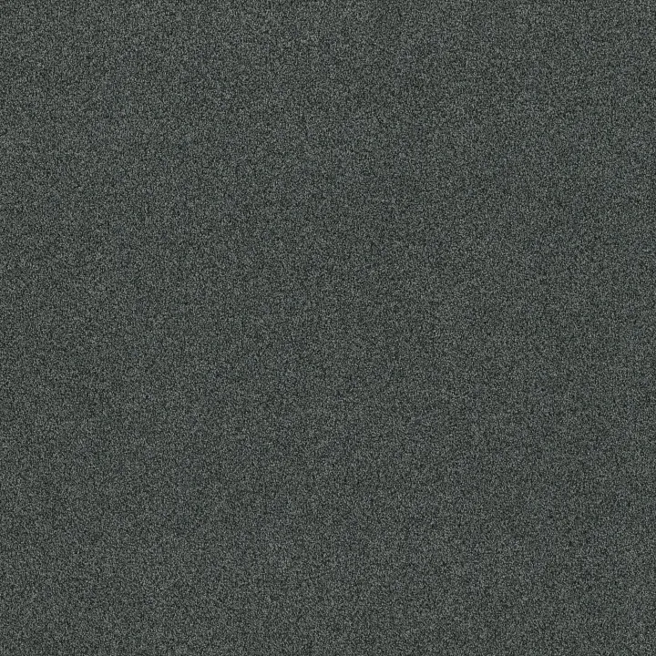Anderson Tuftex Terra Nova — Submarine · ZZ252-00457 — flooring selection with LeviArs Design & Remodeling