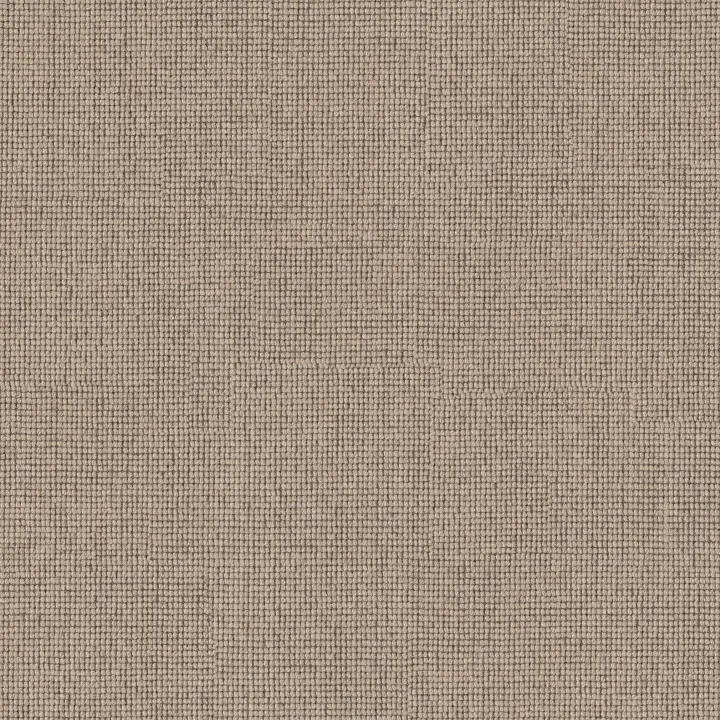 Anderson Tuftex Touchstone — Rugged · ZZ344-00701 — flooring selection with LeviArs Design & Remodeling