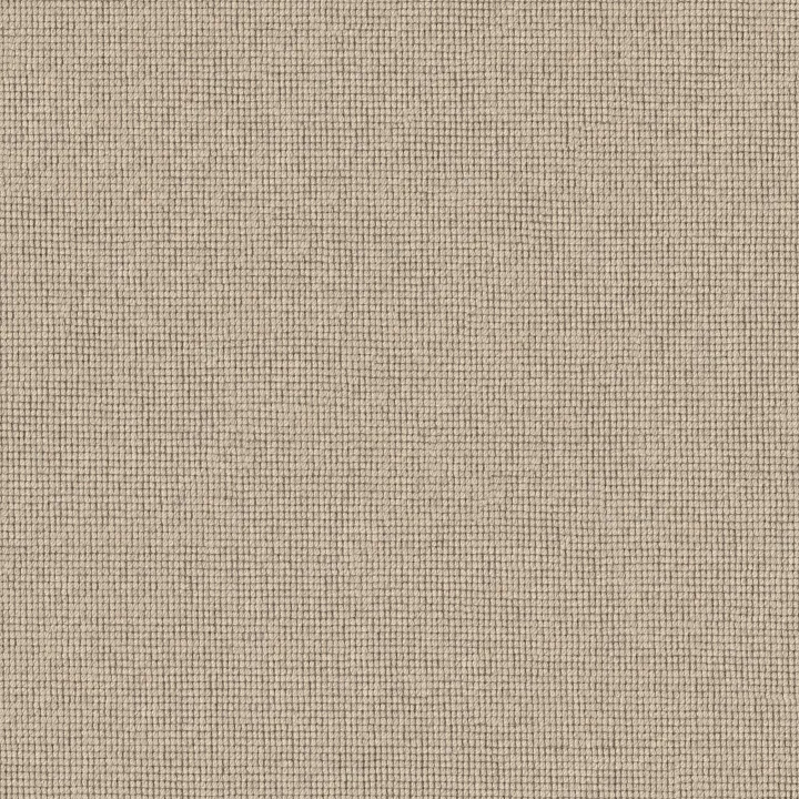 Anderson Tuftex Touchstone — Starlight · ZZ344-00101 — flooring selection with LeviArs Design & Remodeling