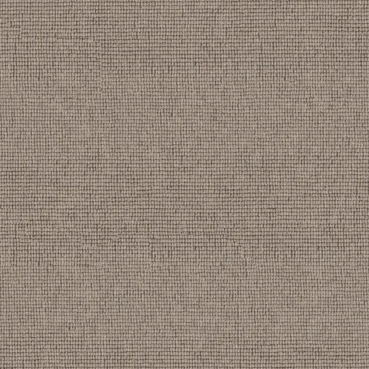 Anderson Tuftex Touchstone — Twig · ZZ344-00700 — flooring selection with LeviArs Design & Remodeling