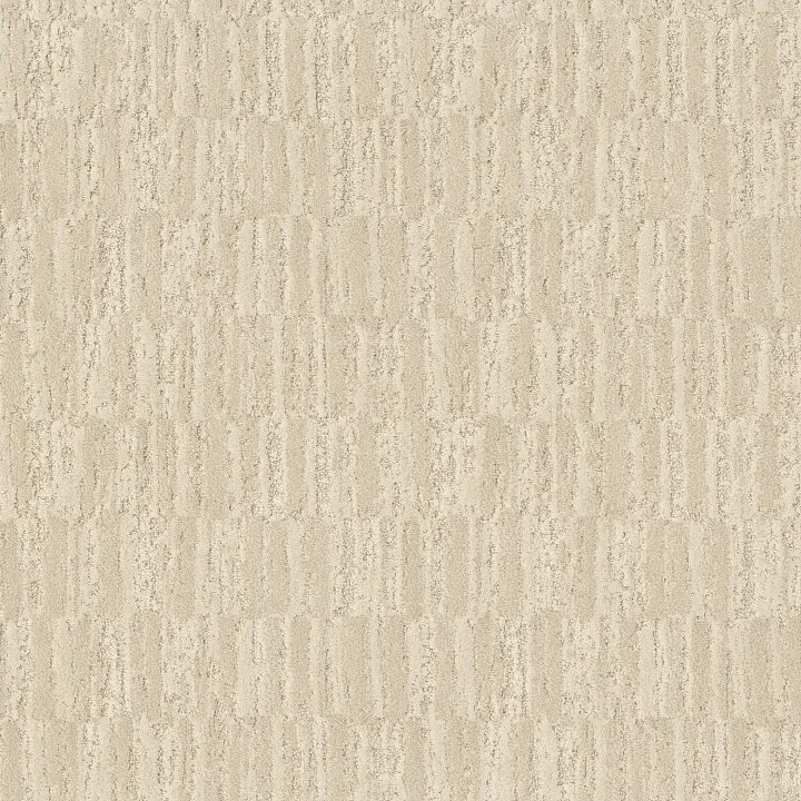 Anderson Tuftex Trace — Halo · ZZ319-00211 — flooring selection with LeviArs Design & Remodeling