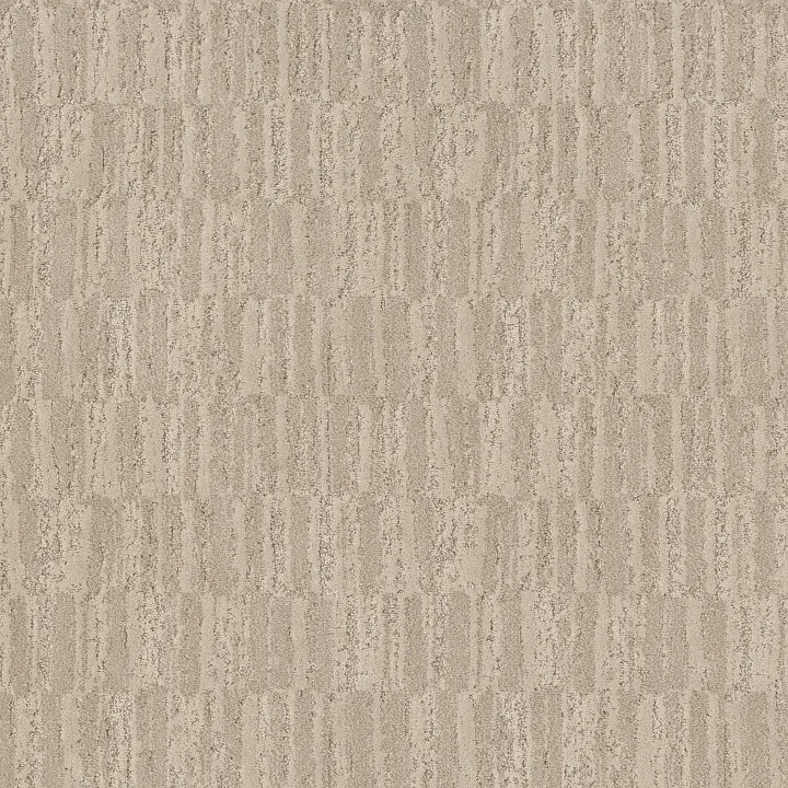 Anderson Tuftex Trace — Impala · ZZ319-00113 — flooring selection with LeviArs Design & Remodeling