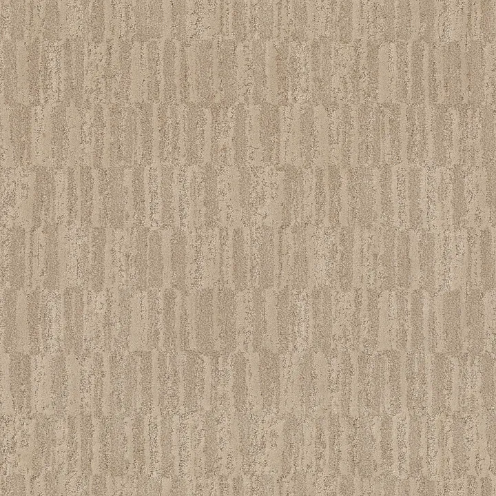 Anderson Tuftex Trace — Medallion · ZZ319-00123 — flooring selection with LeviArs Design & Remodeling