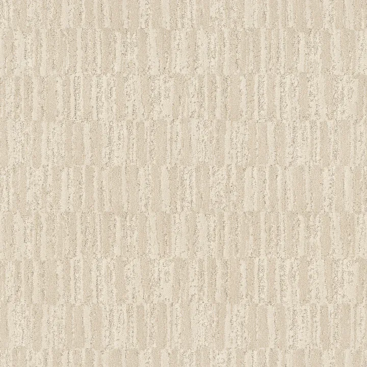Anderson Tuftex Trace — Silk · ZZ319-00121 — flooring selection with LeviArs Design & Remodeling