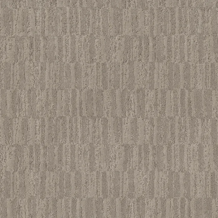 Anderson Tuftex Trace — Twine · ZZ319-00572 — flooring selection with LeviArs Design & Remodeling