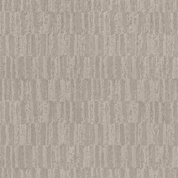 Anderson Tuftex Trace — Vicuna · ZZ319-00571 — flooring selection with LeviArs Design & Remodeling
