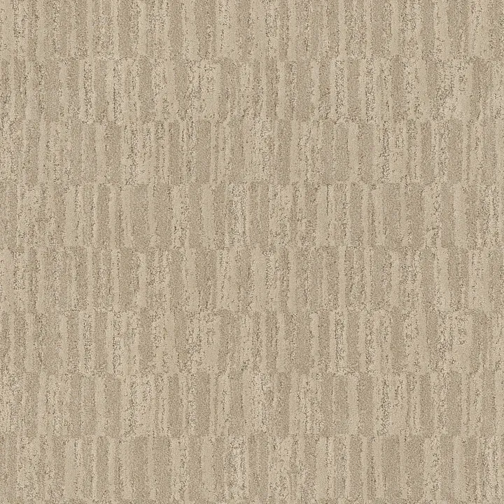 Anderson Tuftex Trace — Wheat · ZZ319-00212 — flooring selection with LeviArs Design & Remodeling