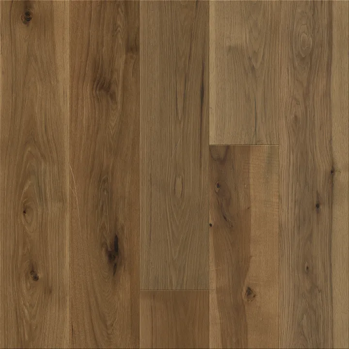 Anderson Tuftex Transcendence — Ascent · AA806-17045 — flooring selection with LeviArs Design & Remodeling