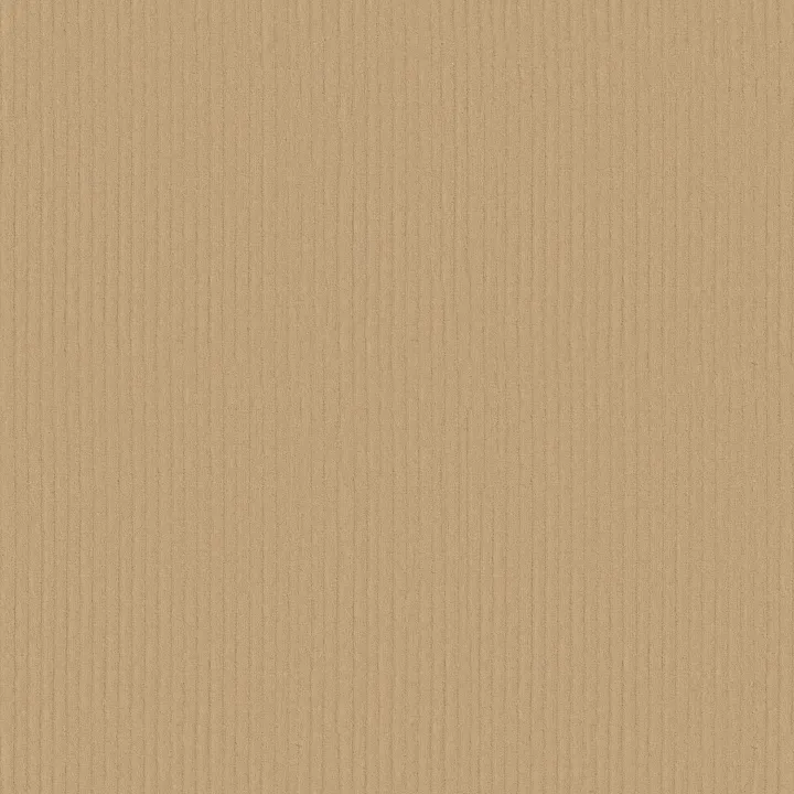 Anderson Tuftex Velluto — Crema · ZZ381-00210 — flooring selection with LeviArs Design & Remodeling