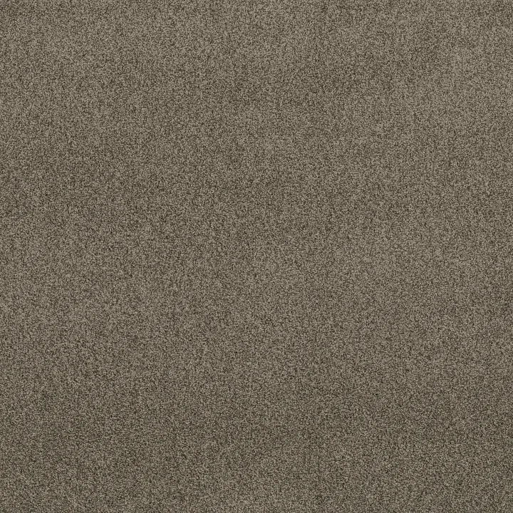 Anderson Tuftex Via Nova — Arrowhead · ZZ276-00536 — flooring selection with LeviArs Design & Remodeling