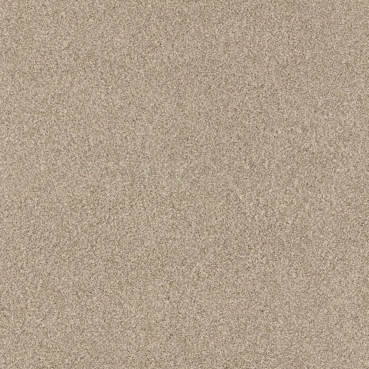Anderson Tuftex Via Nova — Beach Grass · ZZ276-00223 — flooring selection with LeviArs Design & Remodeling