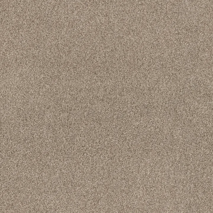 Anderson Tuftex Via Nova — Cascade · ZZ276-00724 — flooring selection with LeviArs Design & Remodeling