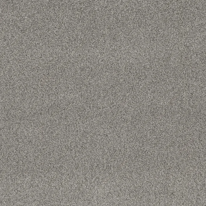 Anderson Tuftex Via Nova — Chelsea Fog · ZZ276-00544 — flooring selection with LeviArs Design & Remodeling