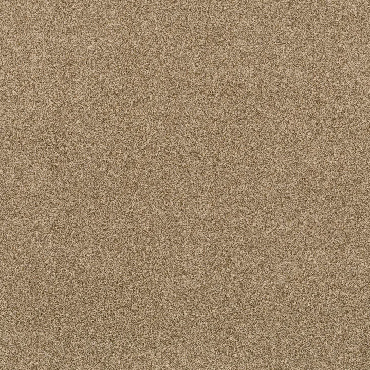 Anderson Tuftex Via Nova — Hazel · ZZ276-00226 — flooring selection with LeviArs Design & Remodeling