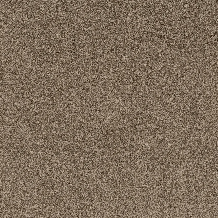Anderson Tuftex Via Nova — Joshua Tree · ZZ276-00716 — flooring selection with LeviArs Design & Remodeling