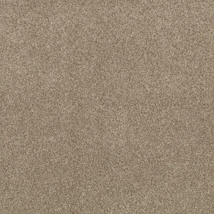 Anderson Tuftex Via Nova — Landscape · ZZ276-00734 — flooring selection with LeviArs Design & Remodeling