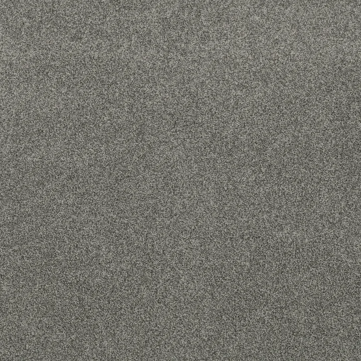 Anderson Tuftex Via Nova — Lunar · ZZ276-00545 — flooring selection with LeviArs Design & Remodeling