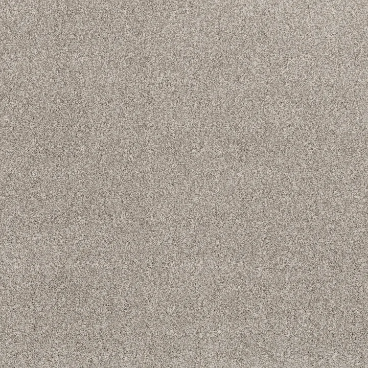 Anderson Tuftex Via Nova — Misty Dawn · ZZ276-00151 — flooring selection with LeviArs Design & Remodeling