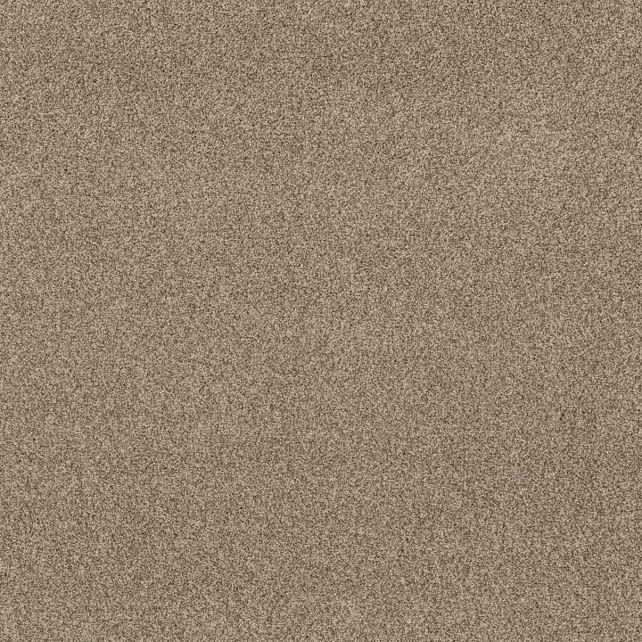 Anderson Tuftex Via Nova — Nutshell · ZZ276-00764 — flooring selection with LeviArs Design & Remodeling