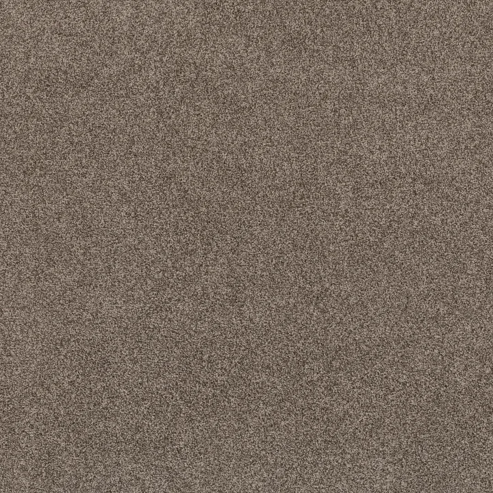 Anderson Tuftex Via Nova — Palm Desert · ZZ276-00756 — flooring selection with LeviArs Design & Remodeling