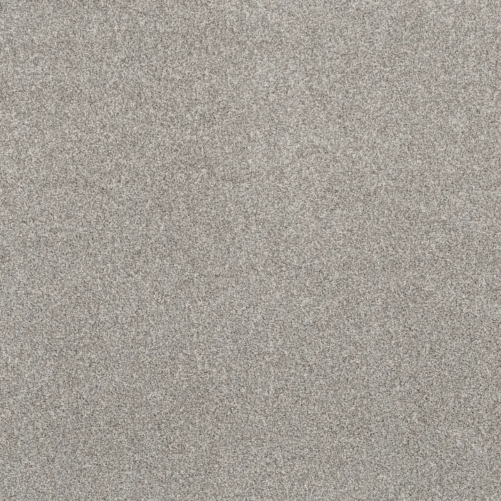 Anderson Tuftex Via Nova — Platinum · ZZ276-00552 — flooring selection with LeviArs Design & Remodeling