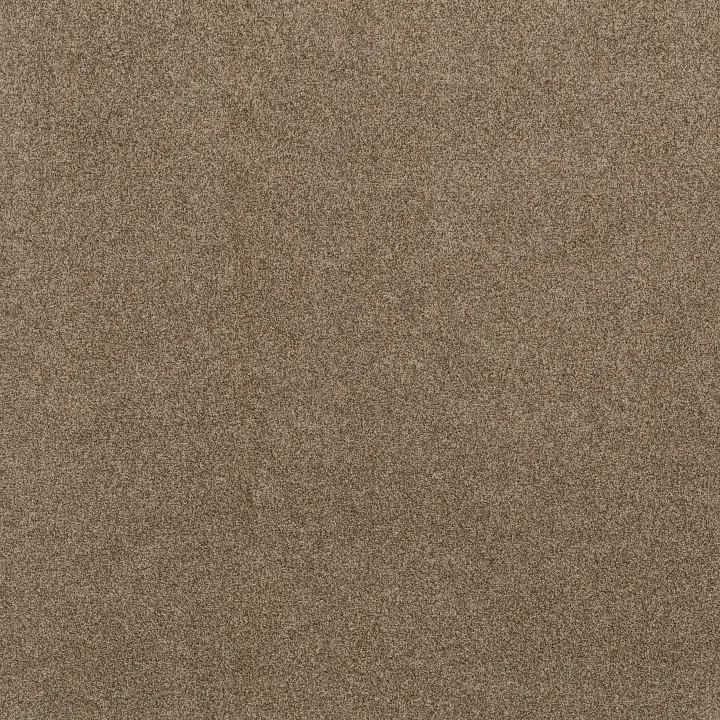 Anderson Tuftex Via Nova — Ranch · ZZ276-00765 — flooring selection with LeviArs Design & Remodeling