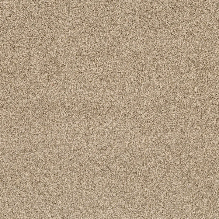 Anderson Tuftex Via Nova — Reed · ZZ276-00224 — flooring selection with LeviArs Design & Remodeling