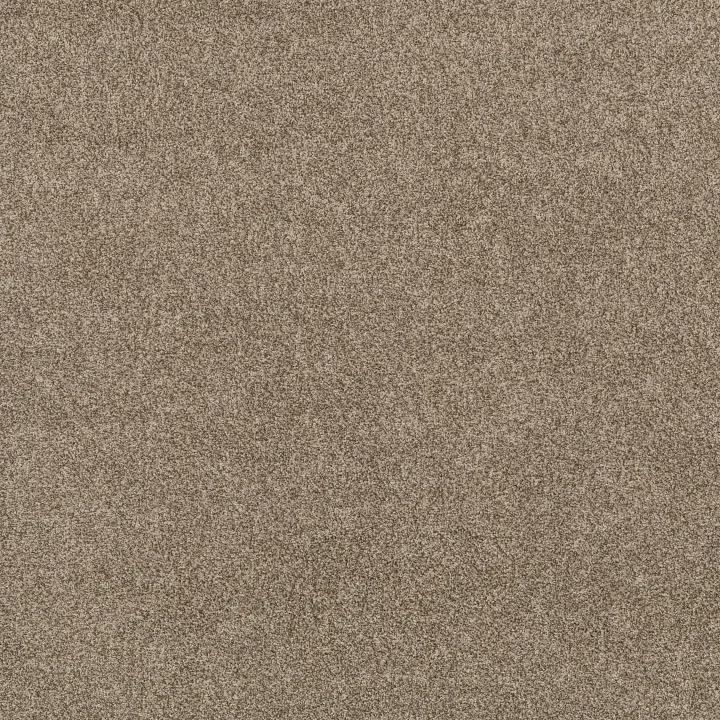 Anderson Tuftex Via Nova — Roasted · ZZ276-00714 — flooring selection with LeviArs Design & Remodeling
