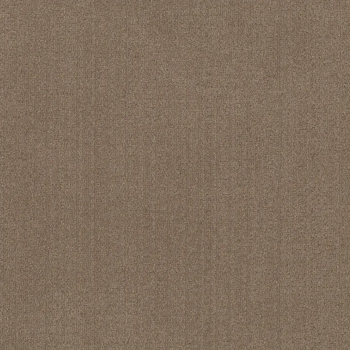 Anderson Tuftex Vignette — Artisan Craft · ZZ330-00722 — flooring selection with LeviArs Design & Remodeling