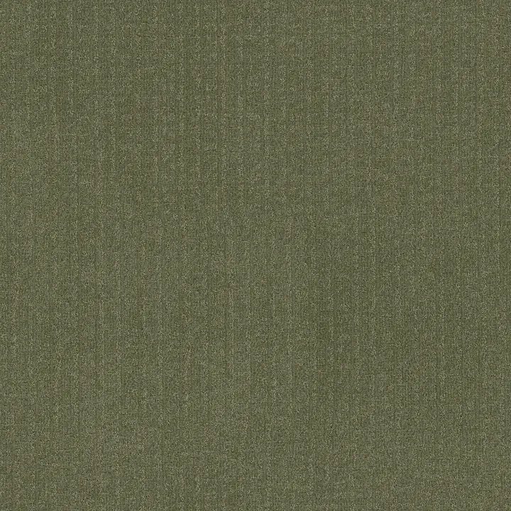 Anderson Tuftex Vignette — Fern · ZZ330-00344 — flooring selection with LeviArs Design & Remodeling