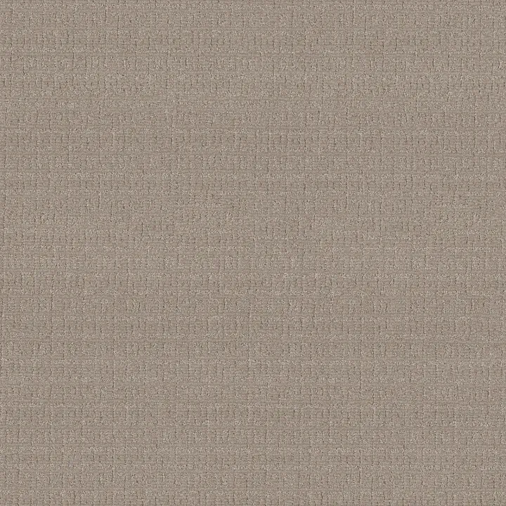 Anderson Tuftex Vignette — Greige · ZZ330-00511 — flooring selection with LeviArs Design & Remodeling