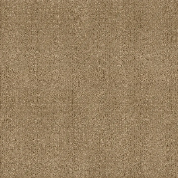 Anderson Tuftex Vignette — Honeycomb · ZZ330-00740 — flooring selection with LeviArs Design & Remodeling