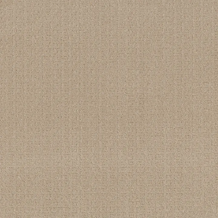 Anderson Tuftex Vignette — Loft Light · ZZ330-00130 — flooring selection with LeviArs Design & Remodeling