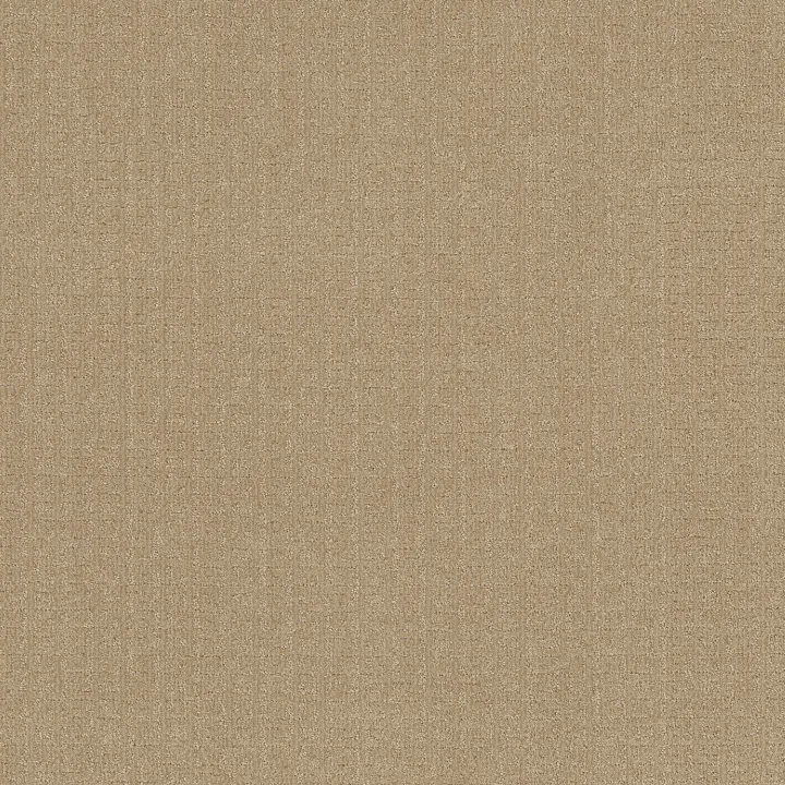 Anderson Tuftex Vignette — Riviera Beach · ZZ330-00220 — flooring selection with LeviArs Design & Remodeling