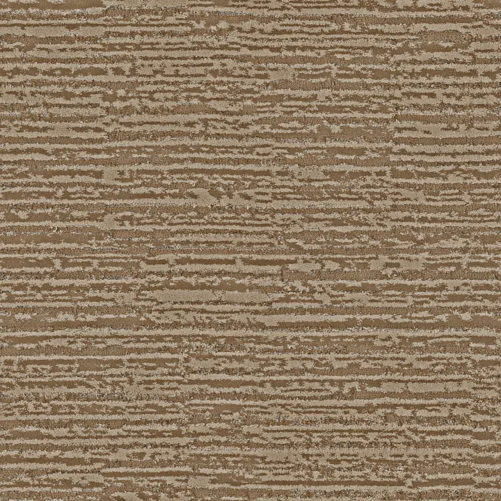Anderson Tuftex Zion — Camel · ZZ356-00701 — flooring selection with LeviArs Design & Remodeling