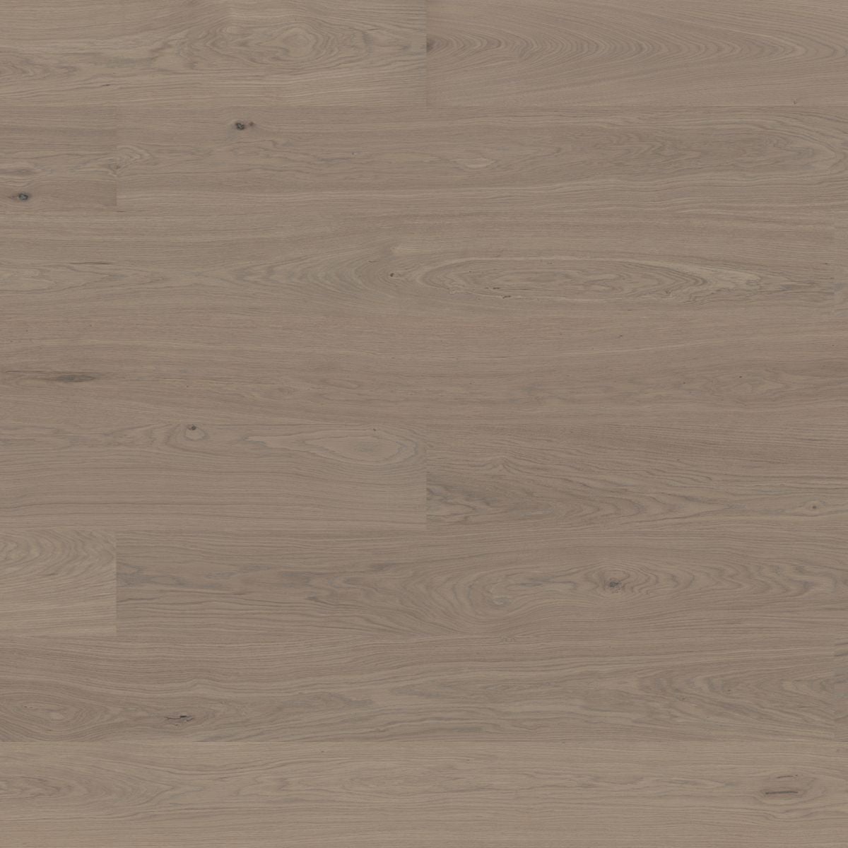 Bjelin Woodura Planks BONNARP 3.0 XL Earth Grey — flooring selection with LeviArs Design & Remodeling