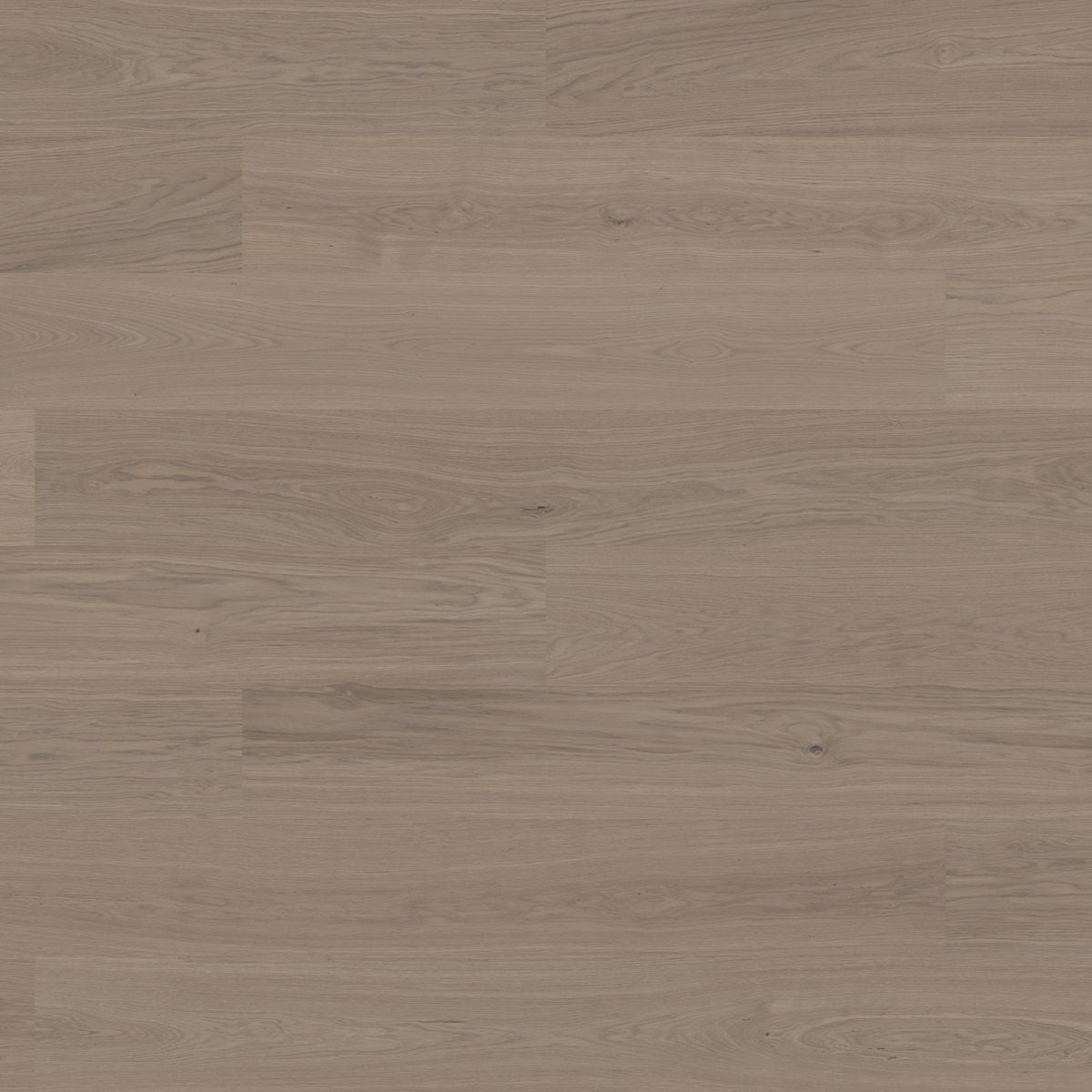 Bjelin Woodura Planks BONNARP 3.0 XXL Earth Grey — Hardened wood flooring selection with LeviArs Design & Remodeling
