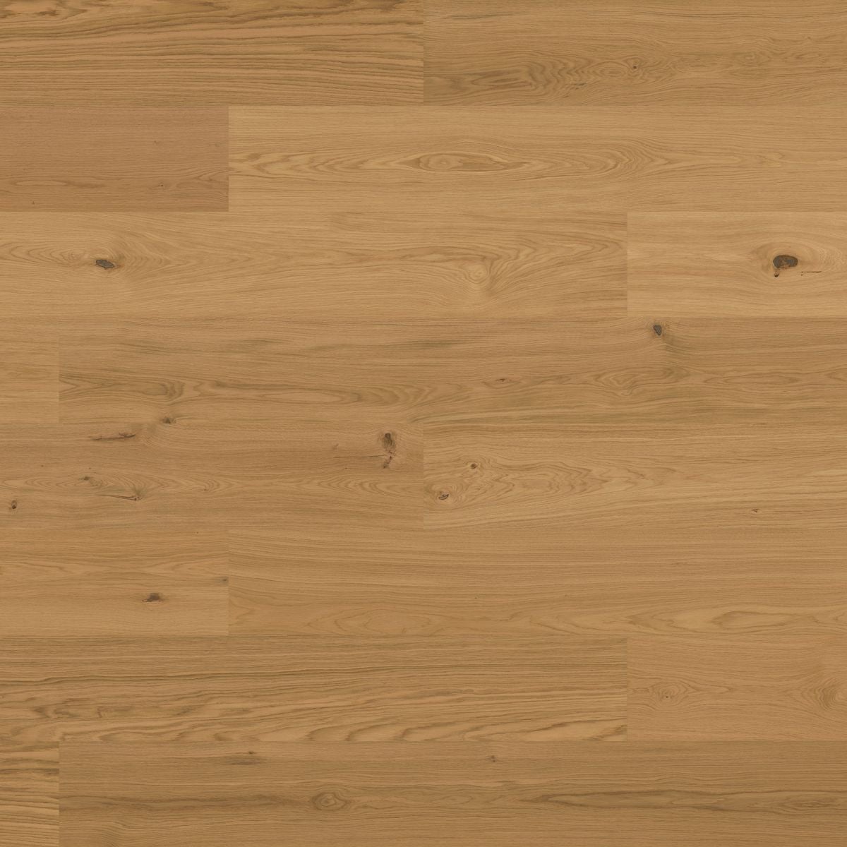 Bjelin Woodura Planks EKET 3.0 XXL Natural — Hardened wood flooring selection with LeviArs Design & Remodeling