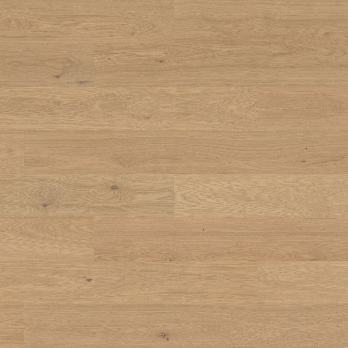 Bjelin Woodura Planks HÖJA 3.0 XXL Misty White — Hardened wood flooring selection with LeviArs Design & Remodeling